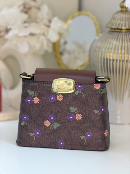 شنطة كوتش كرز