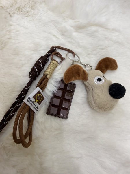 كلب مع قالب شوكولاته